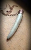Naturally Shed Antler